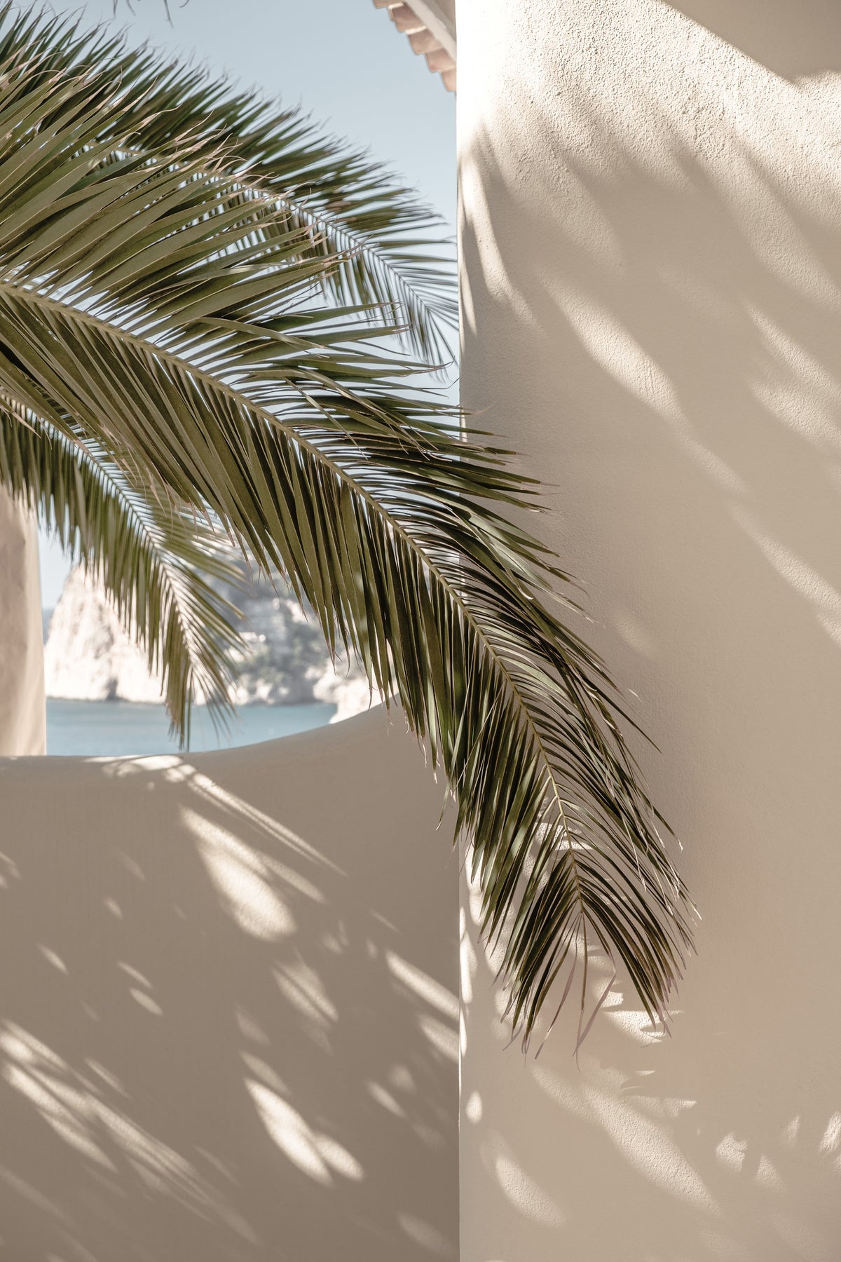Venture Home Palmleaf Posters 50x70 Beige