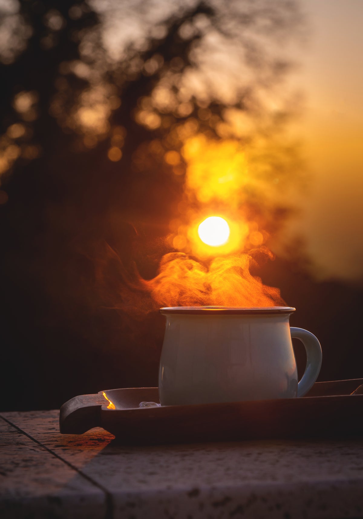 Venture Home Morning coffee Posters 70x100 Gul