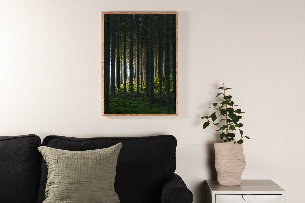 Venture Home Woods Posters 70x100 Grön