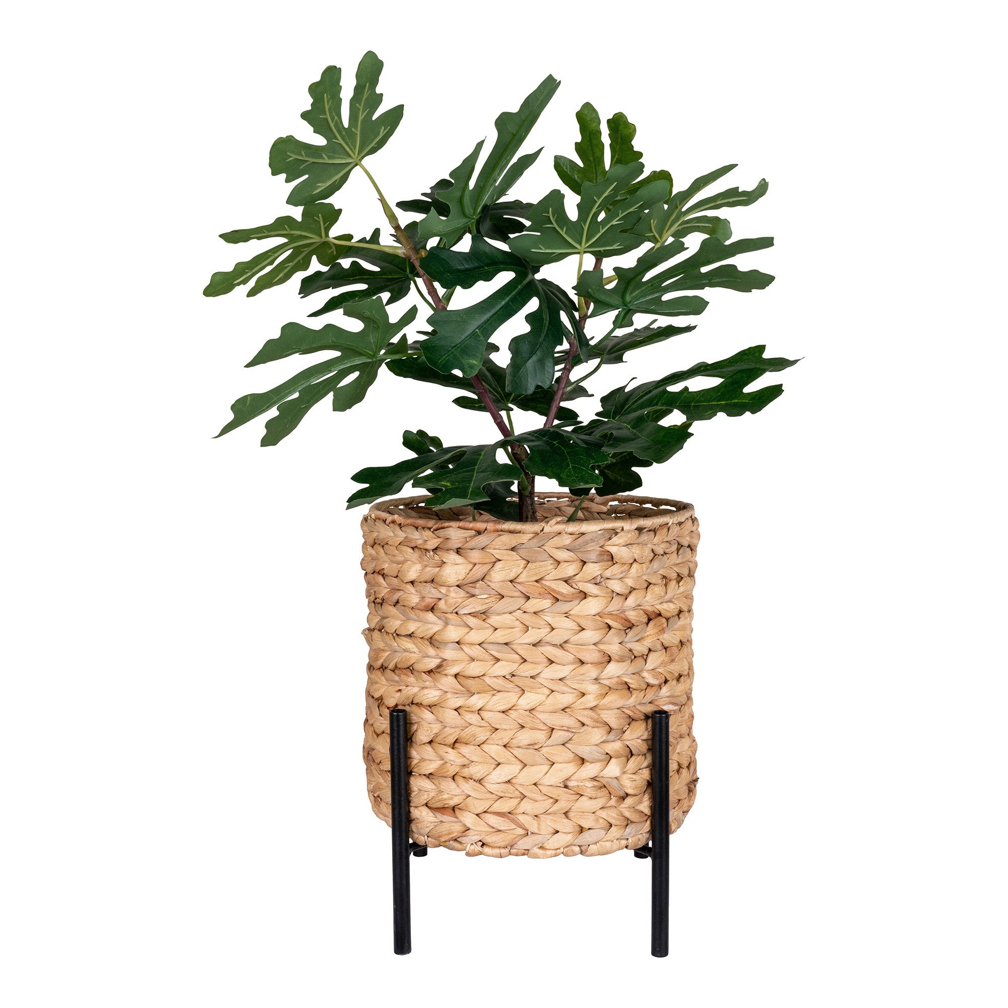 House Nordic Antas Blomkruka