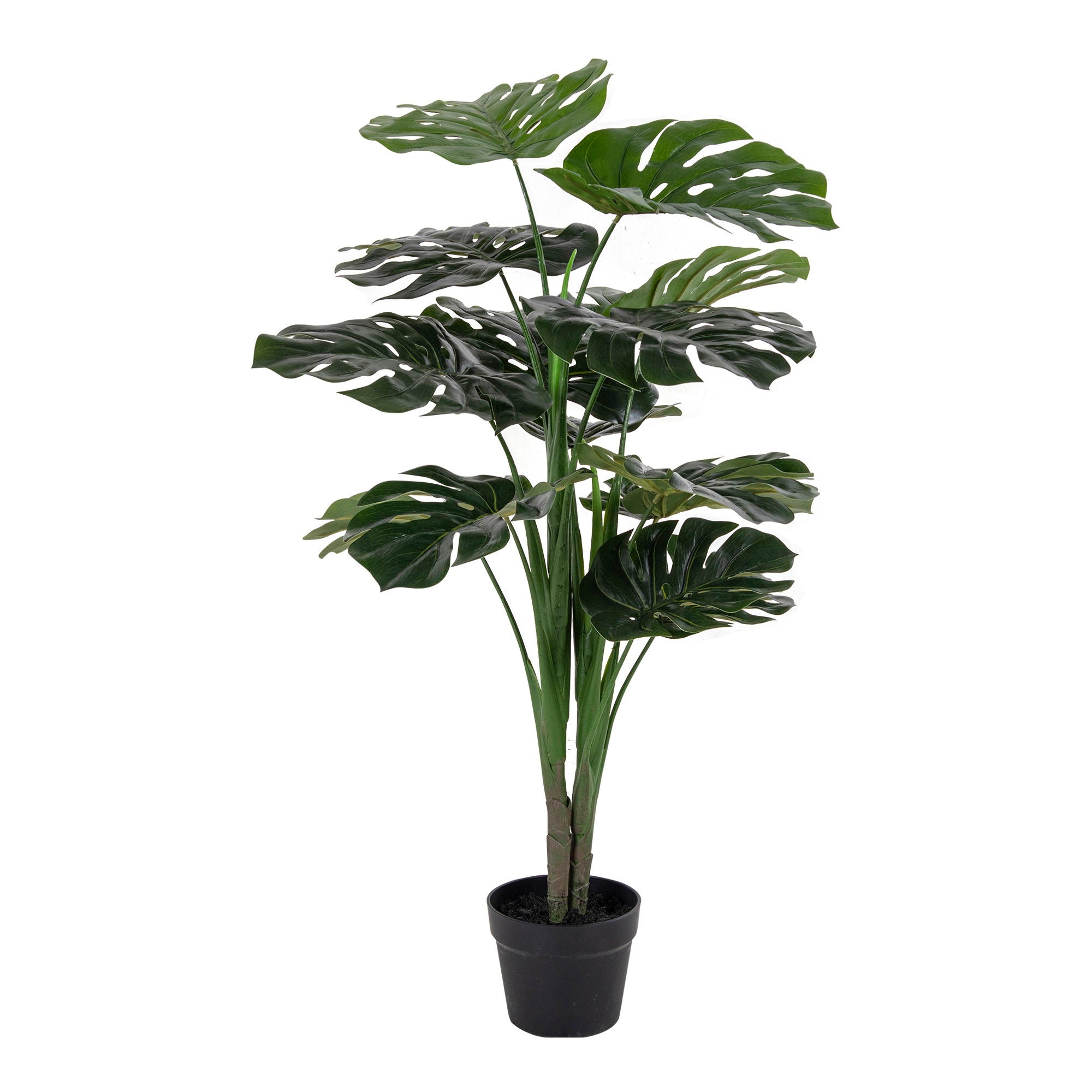 House Nordic Monstera Grön