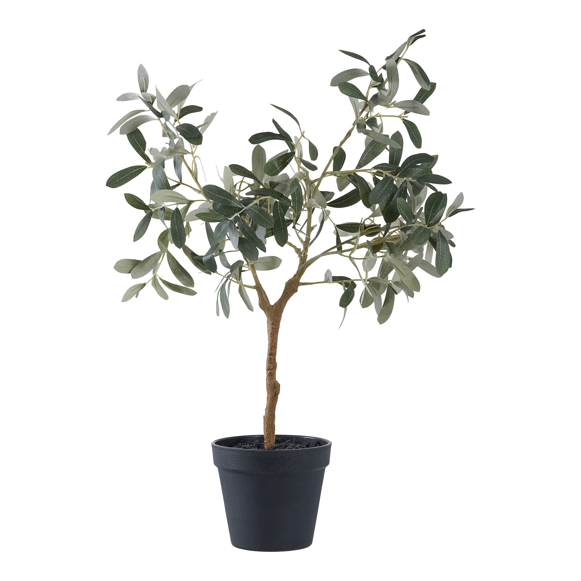 House Nordic Olive Tree Grön
