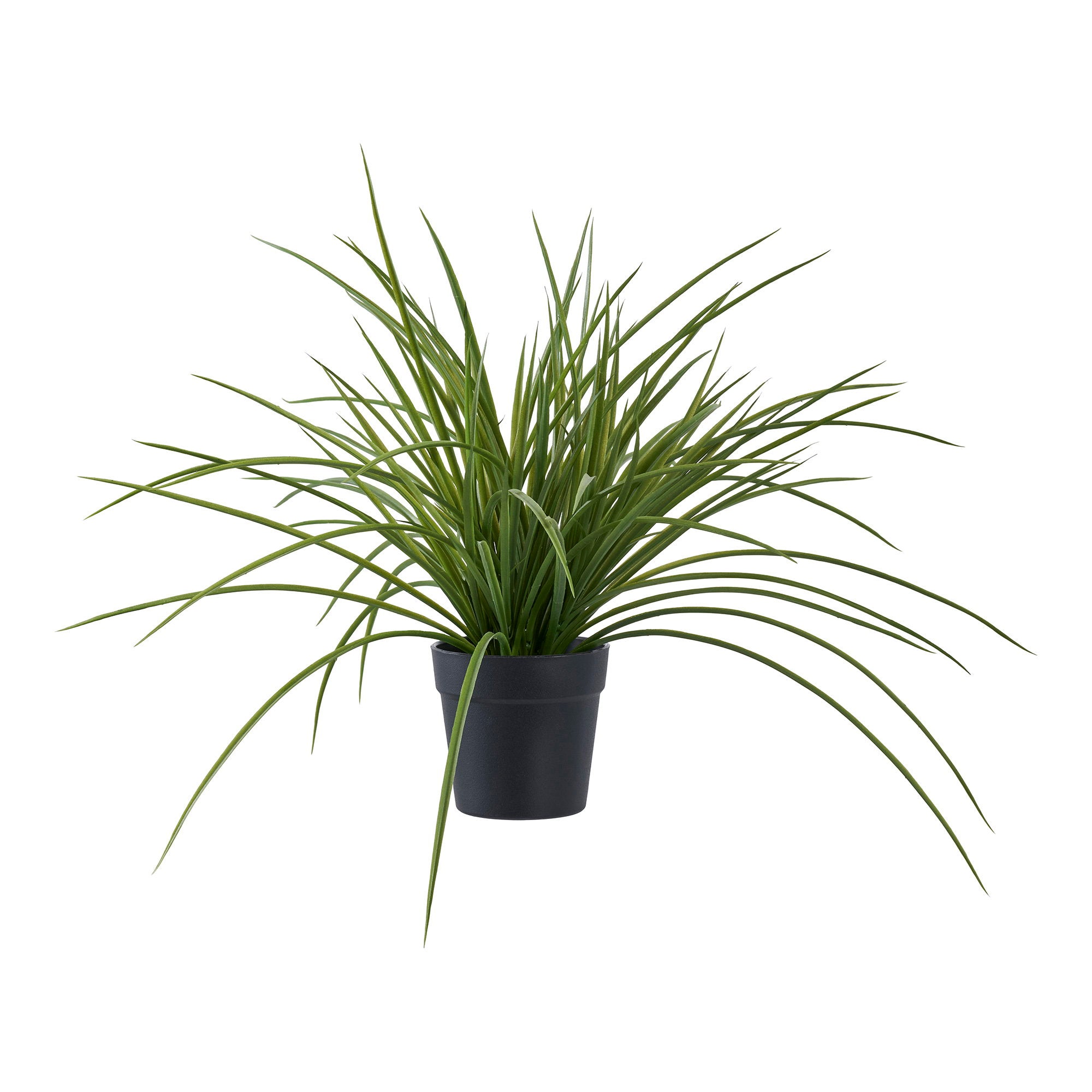 House Nordic Grass