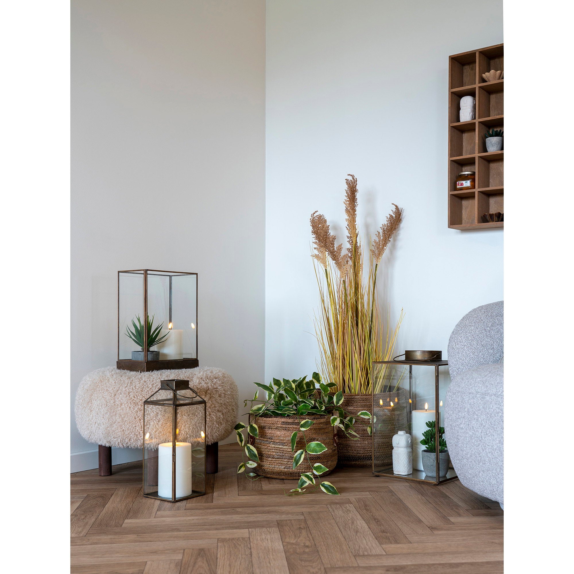 House Nordic Hoya Carnosa