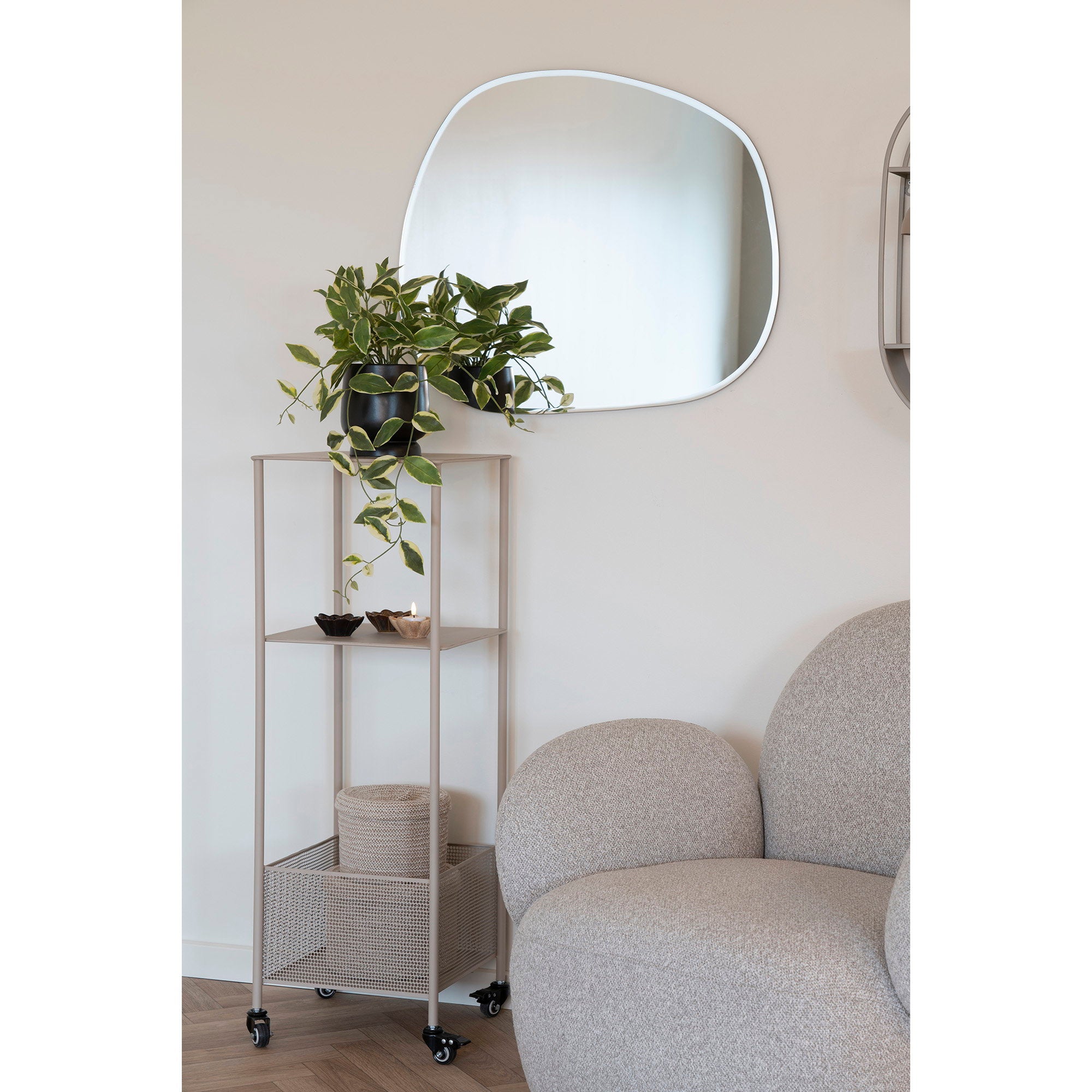 House Nordic Hoya Carnosa