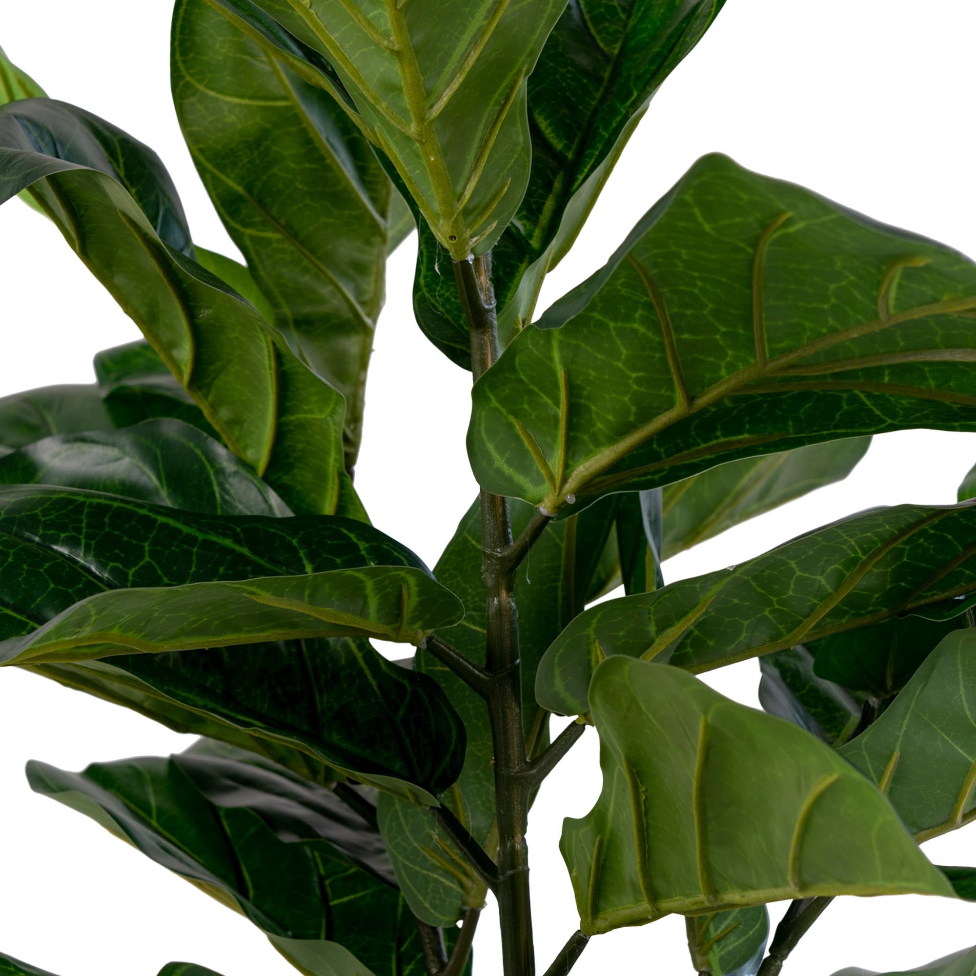 House Nordic Fiddle Leaf Tree Grön