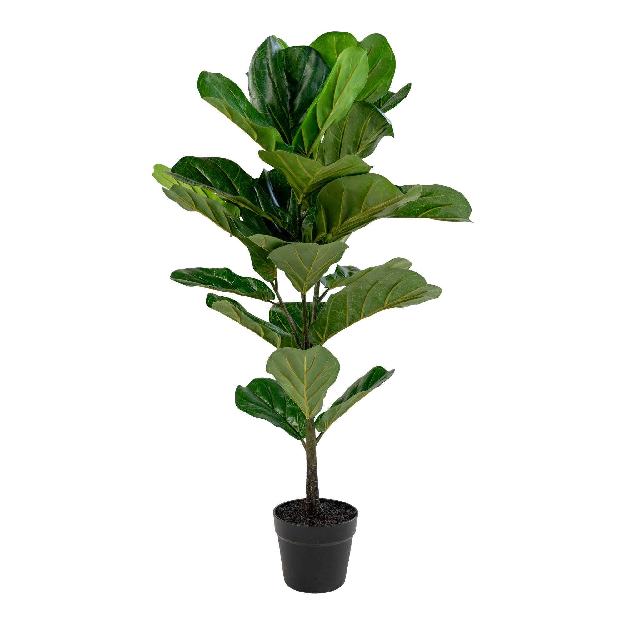 House Nordic Fiddle Leaf Tree Grön