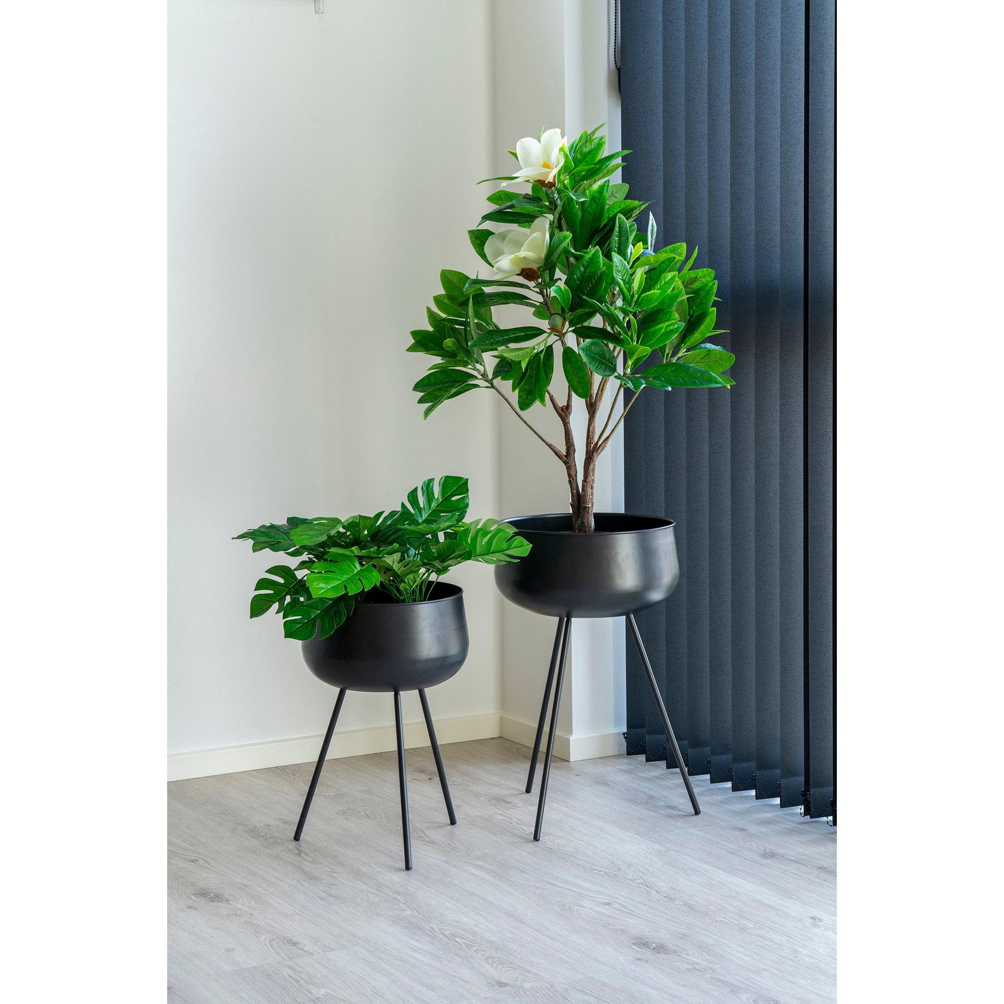 House Nordic Monstera Grön