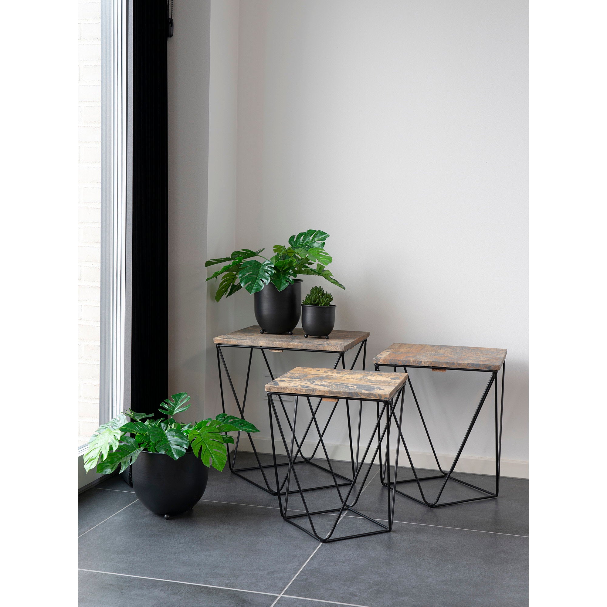 House Nordic Monstera Grön