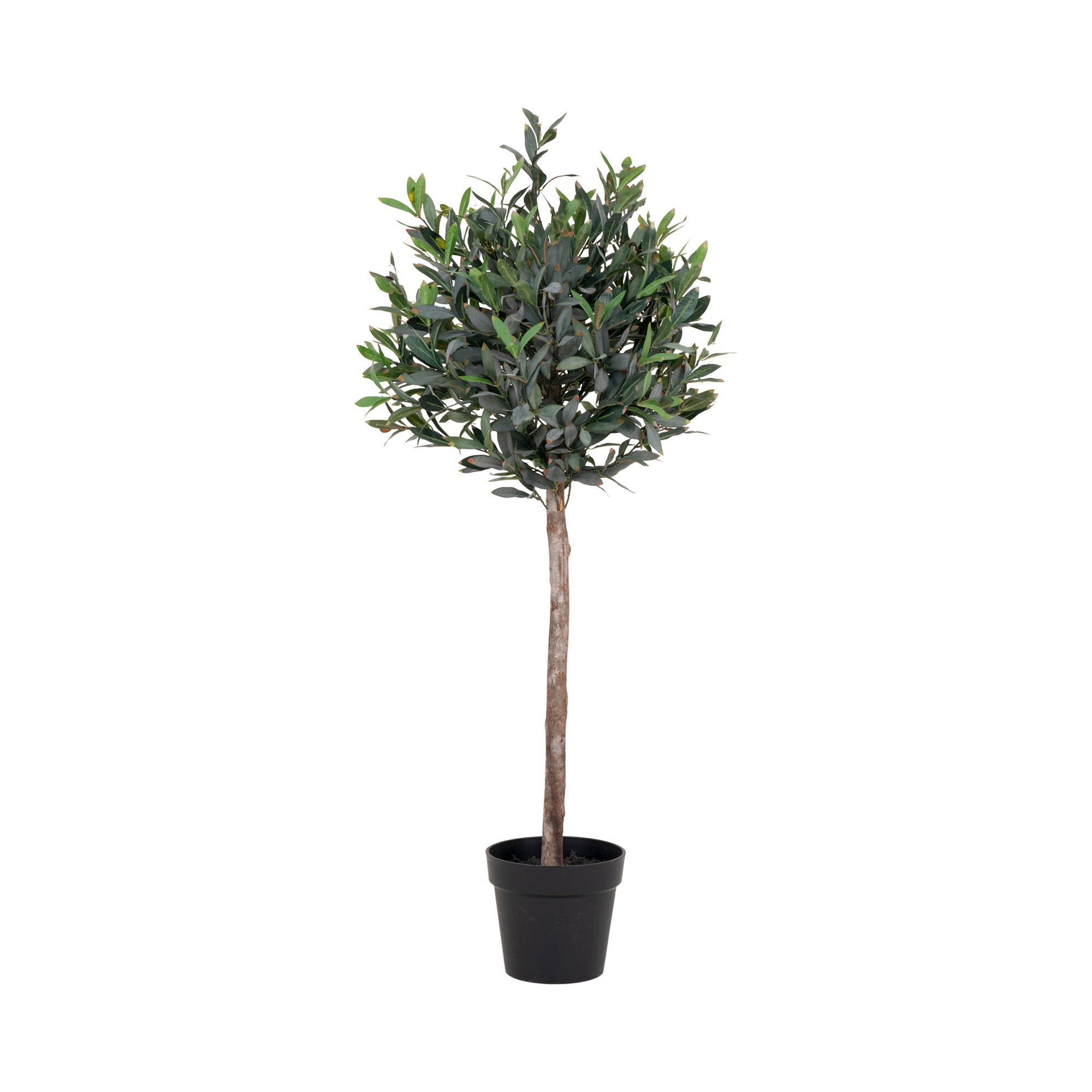 House Nordic Olive Tree Grön
