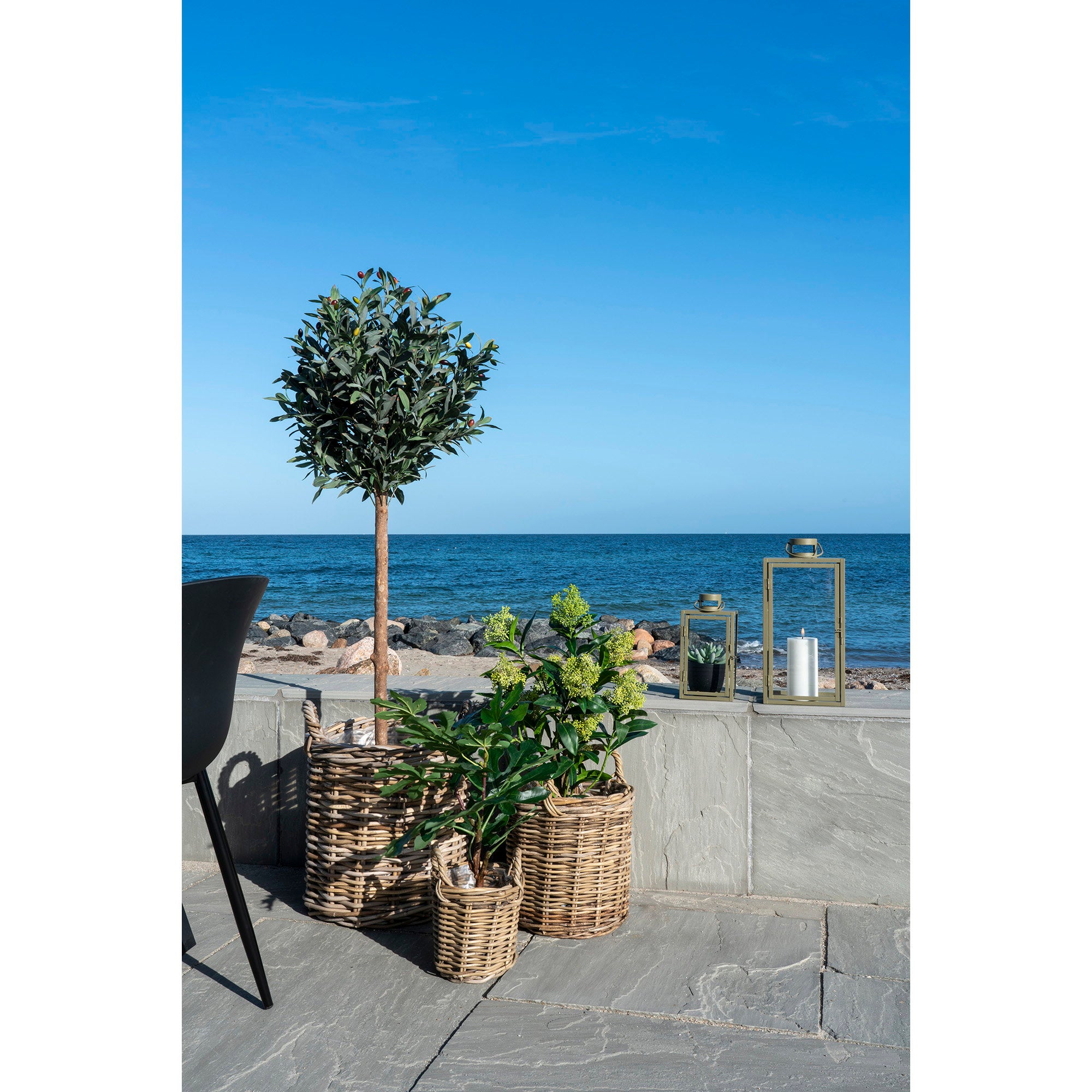 House Nordic Skimmia Tree