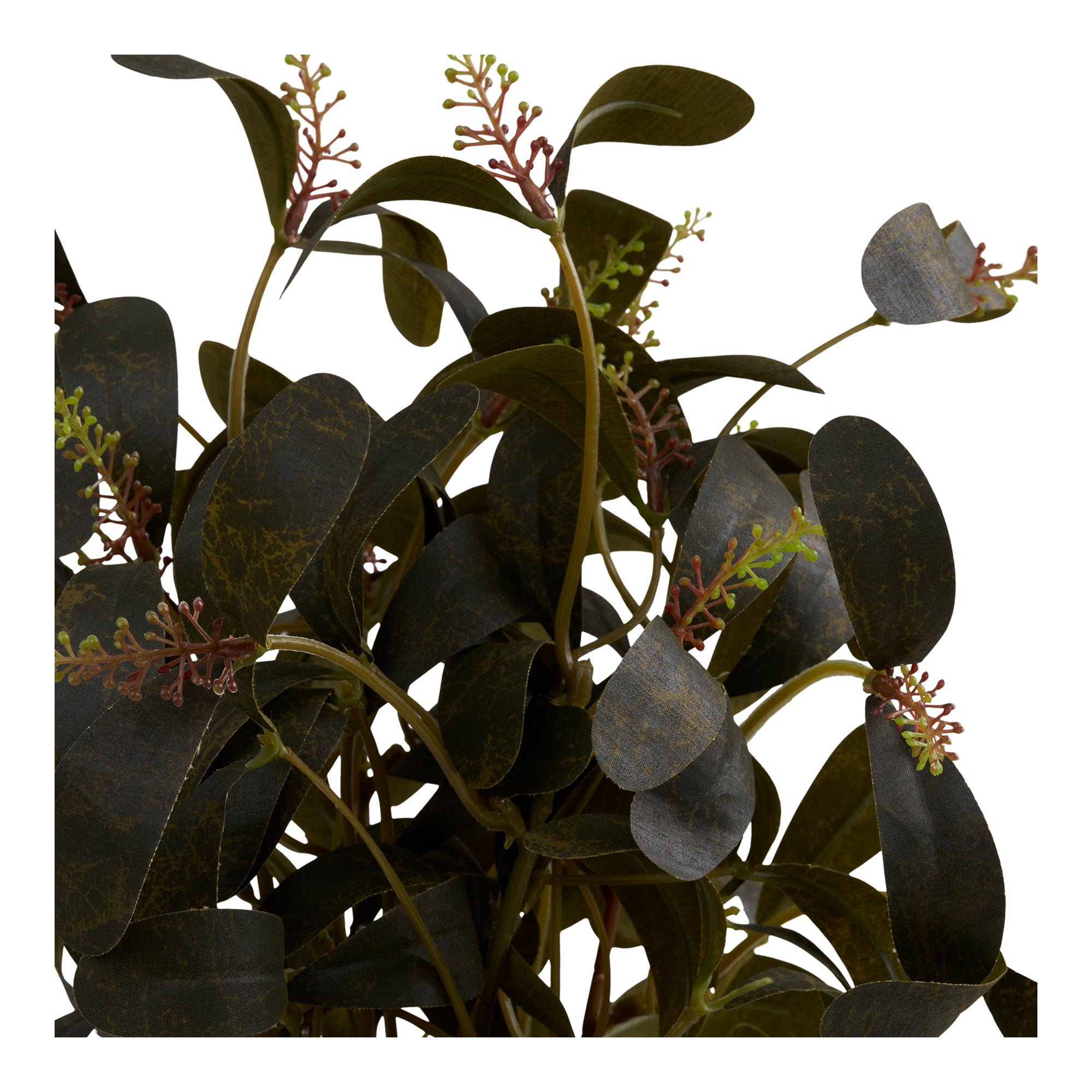 House Nordic Plant Grön