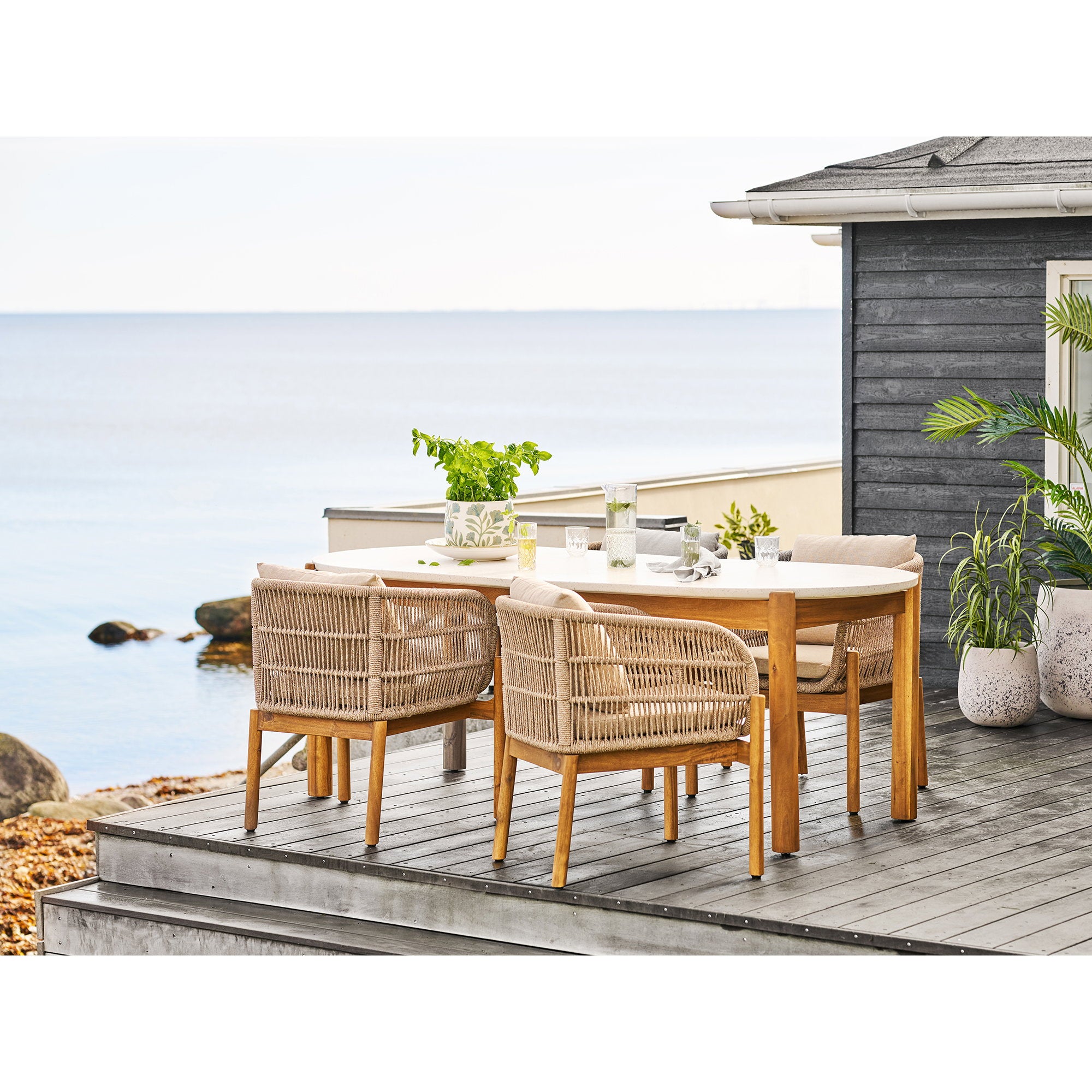 House Nordic Grass Plant
