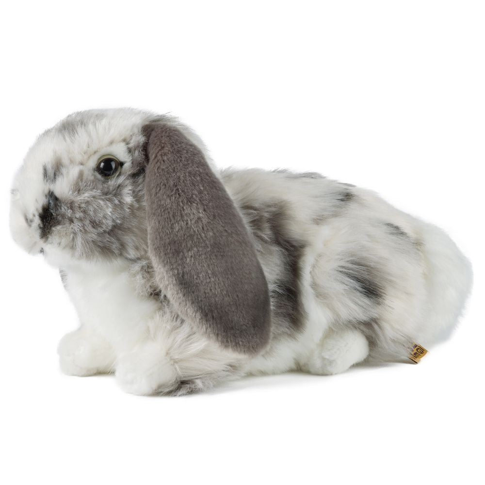 Living Nature grå Dutch Lop Ear