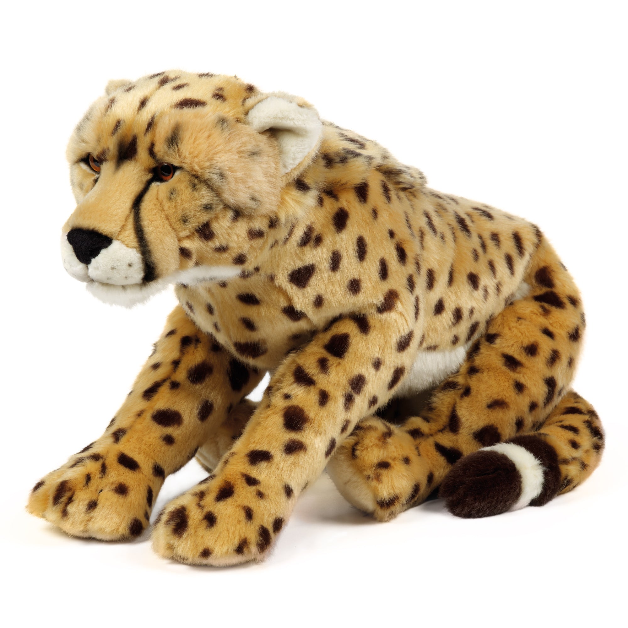 Living Nature Cheetah stor