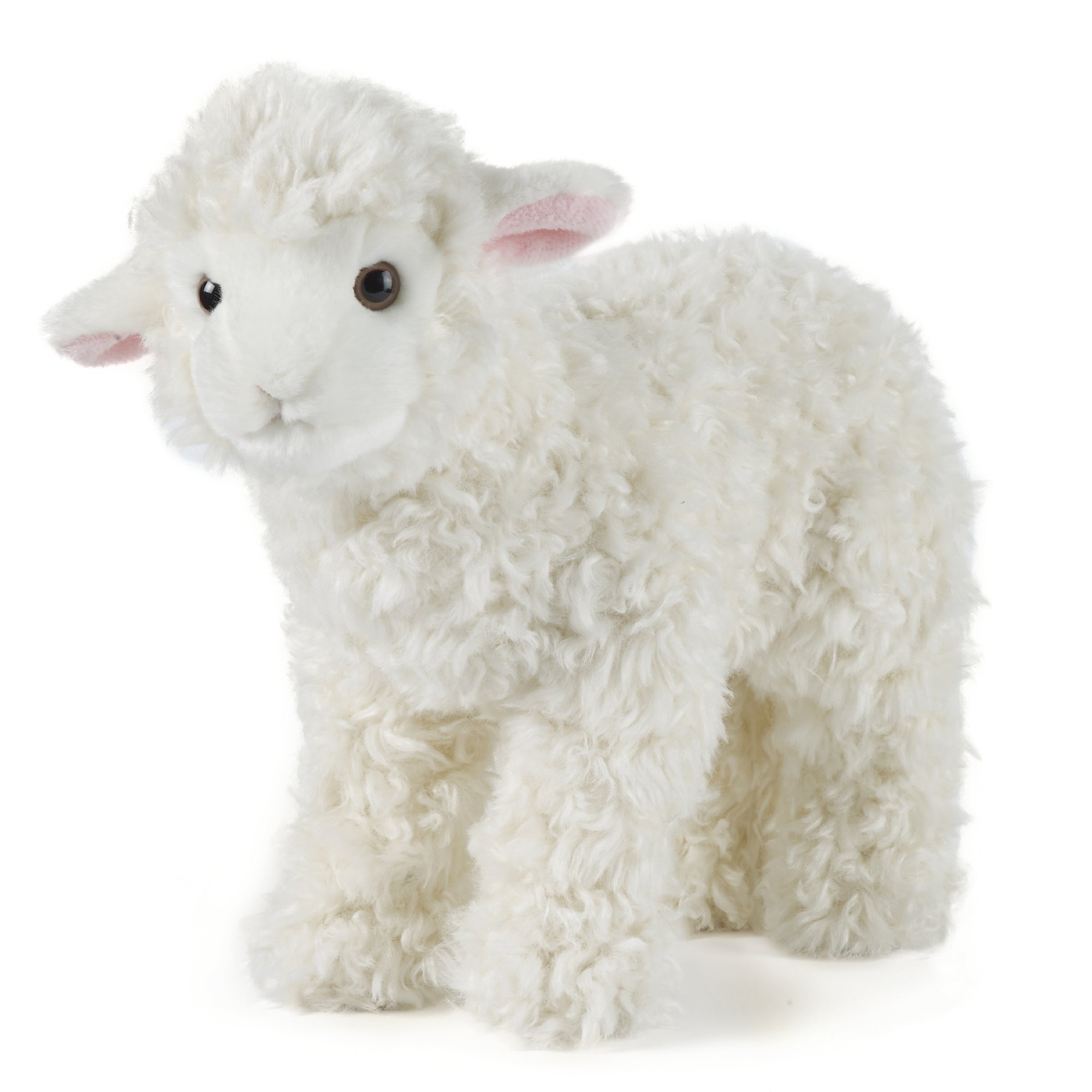 Living Nature Lamb stor