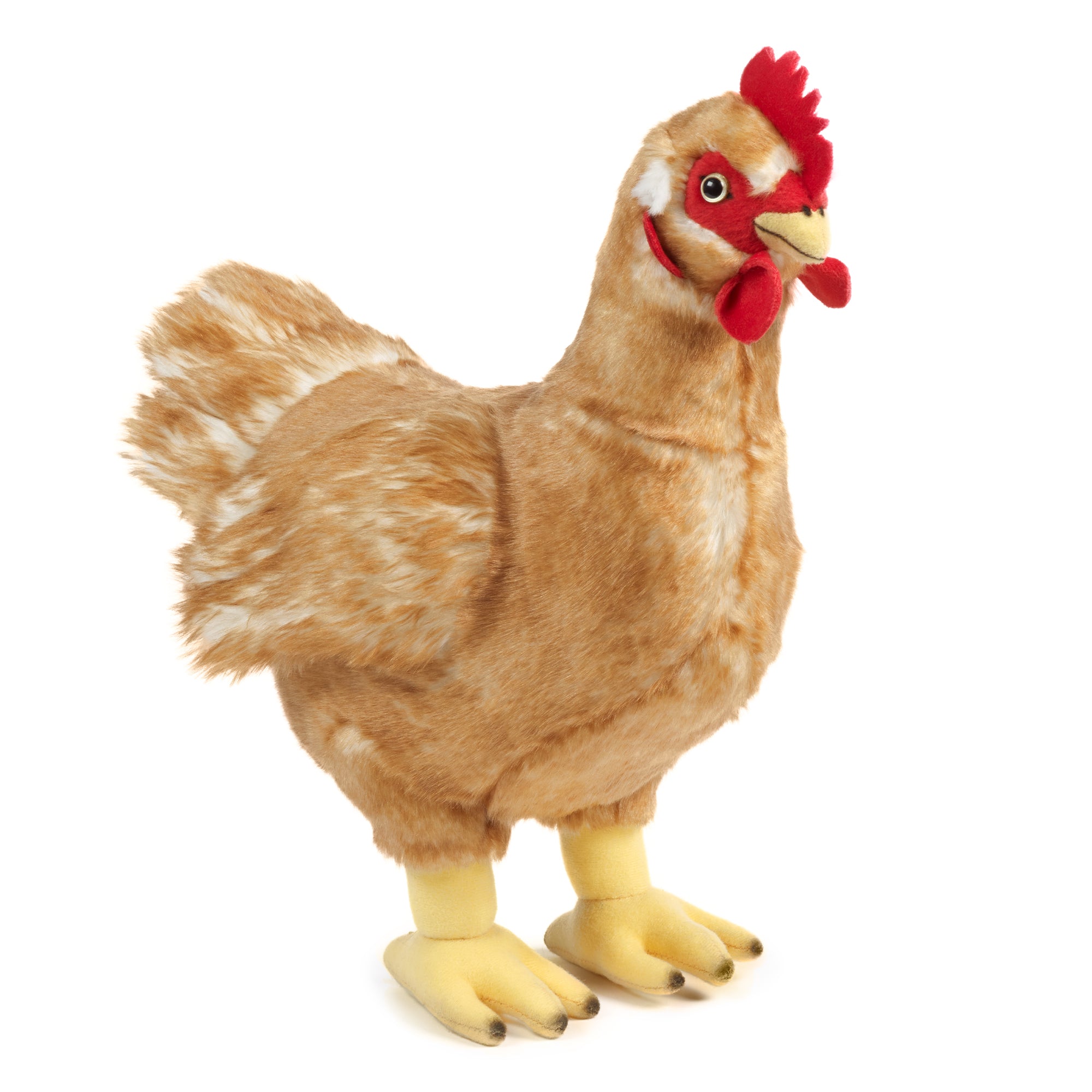 Living Nature Hen stor