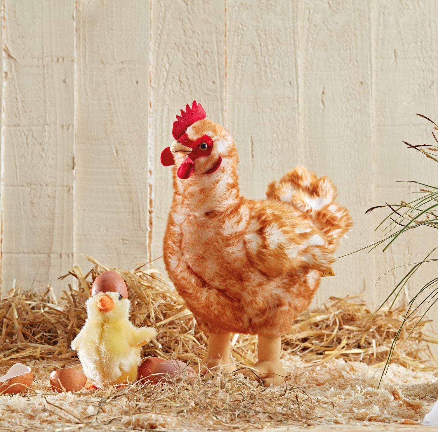 Living Nature Hen stor