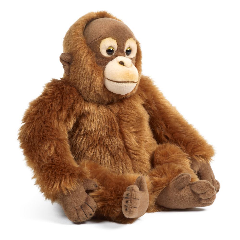 Living Nature Orangutang