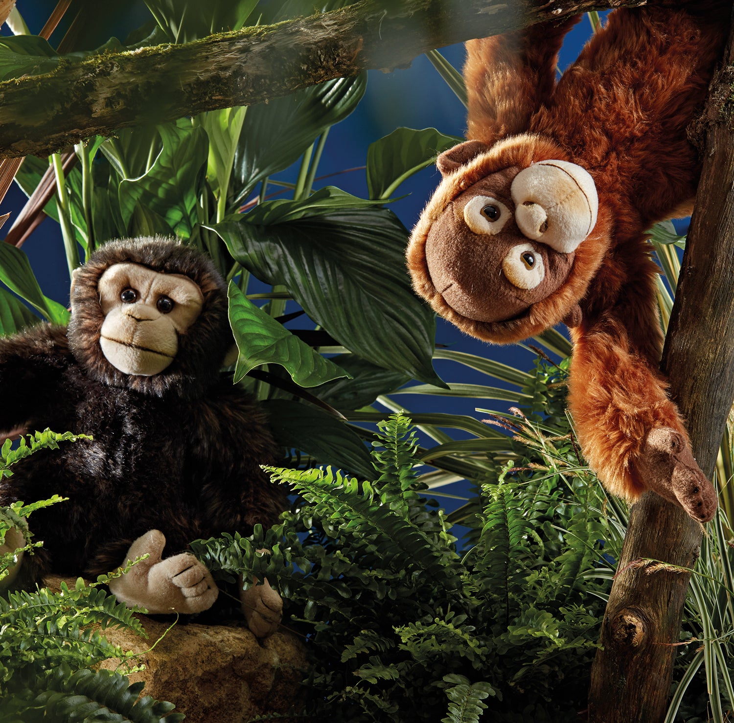 Living Nature Orangutang
