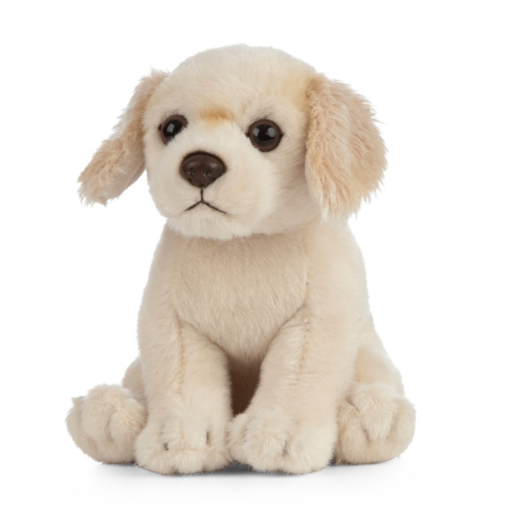 Living Nature Golden Retriever Puppy