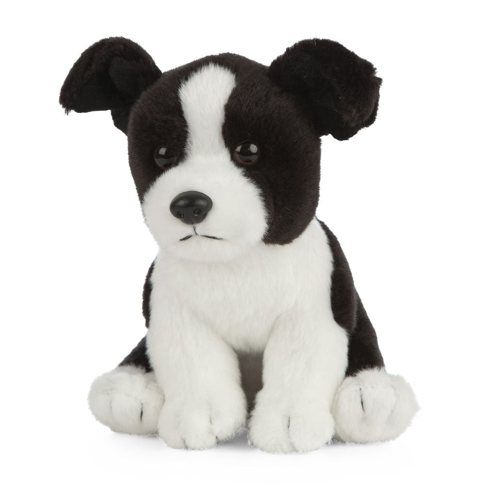 Living Nature Border Collie Puppy