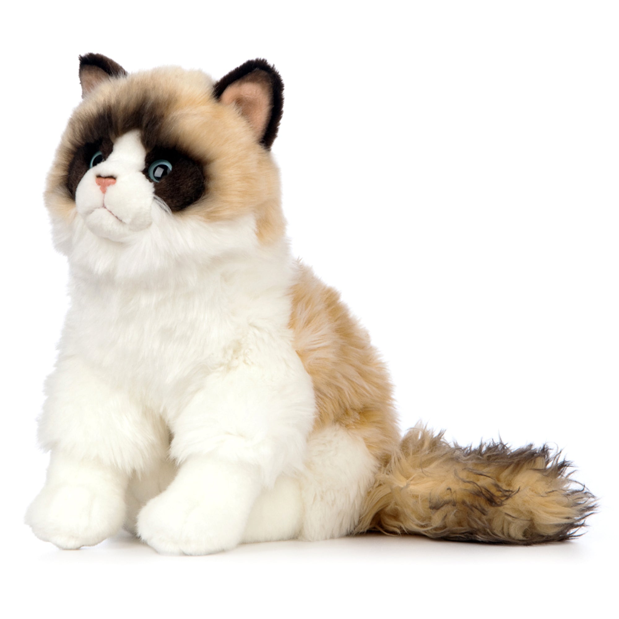 Living Nature Ragdoll katt