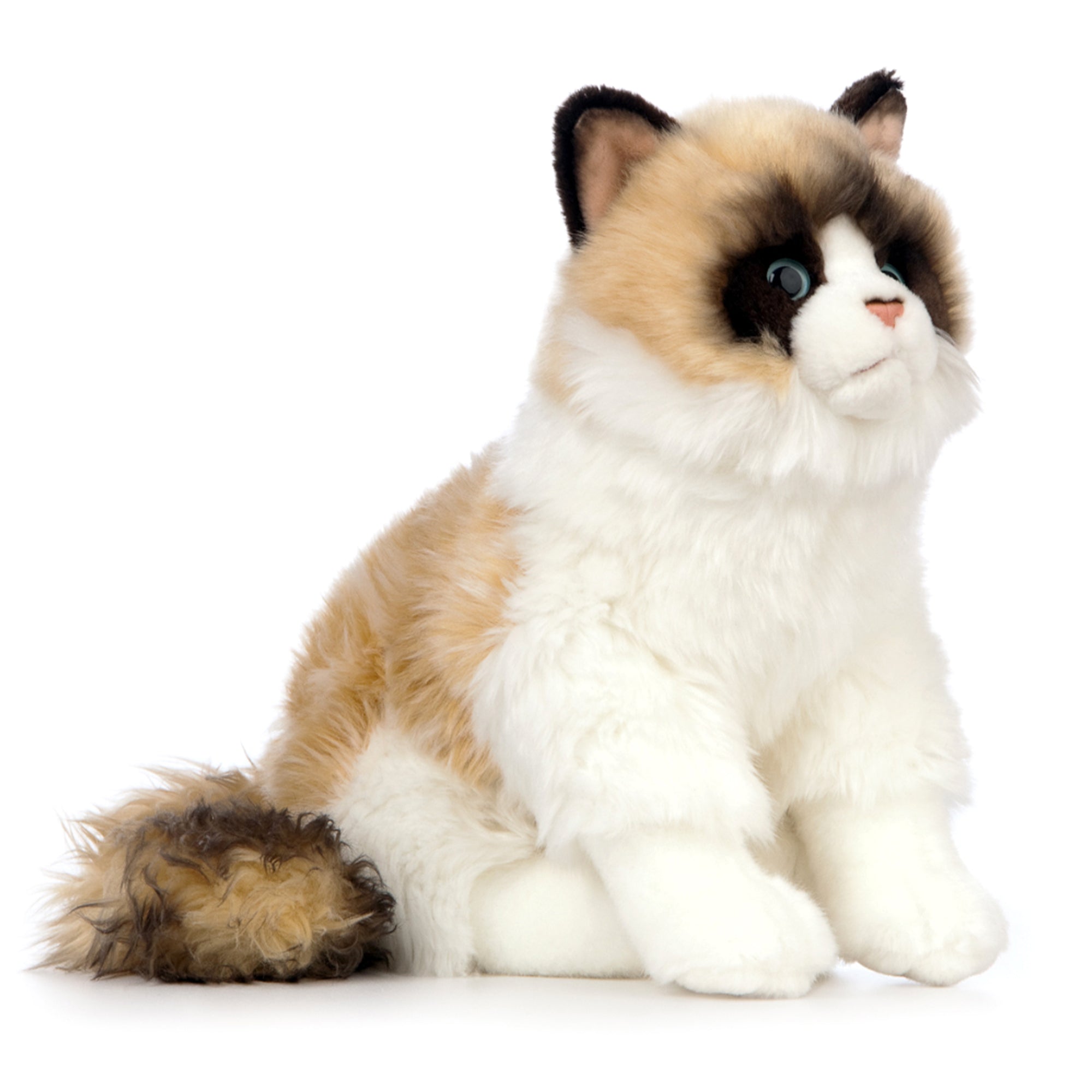 Living Nature Ragdoll katt