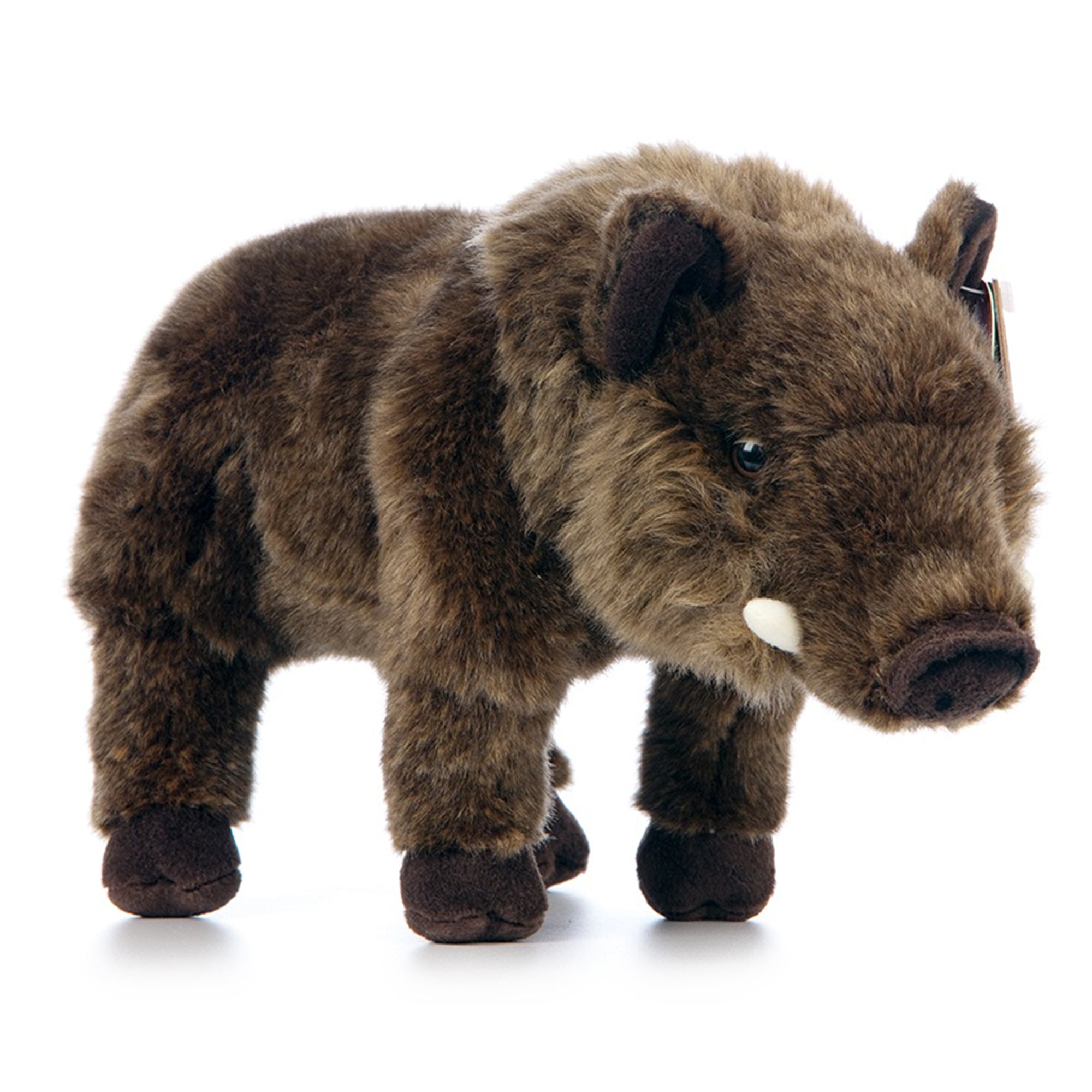 Living Nature Wild Boar