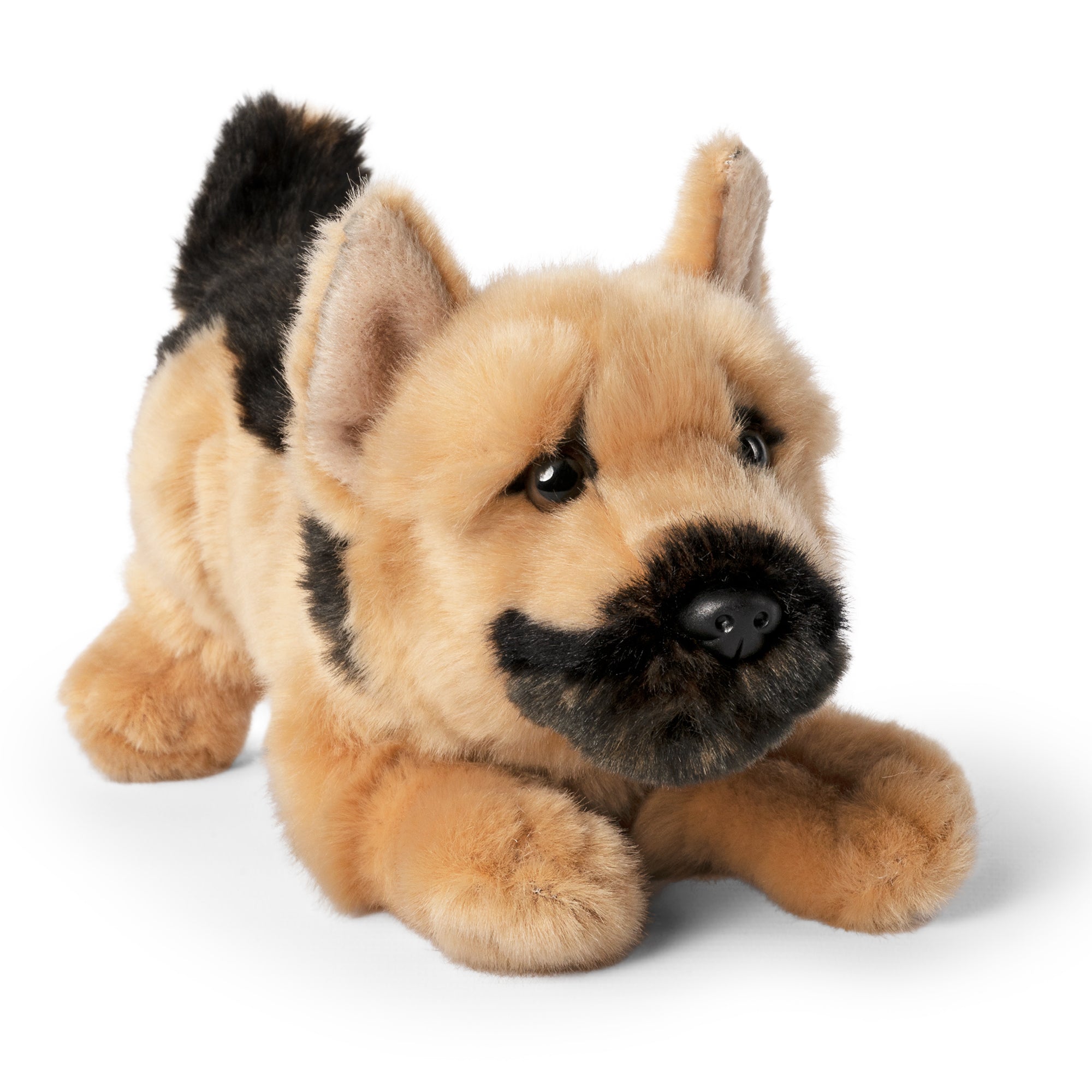 Living Nature German Shepherd Playful Pup