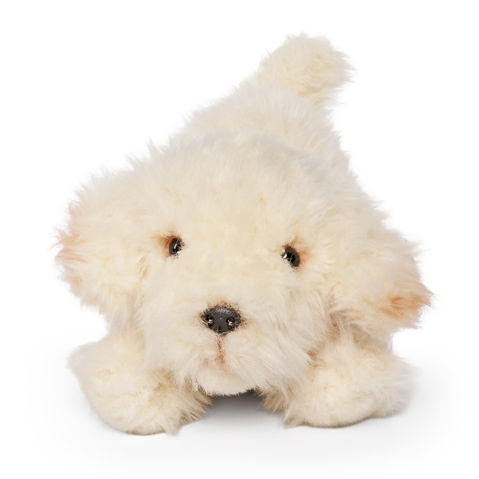 Living Nature Labradoodle Playful Pup