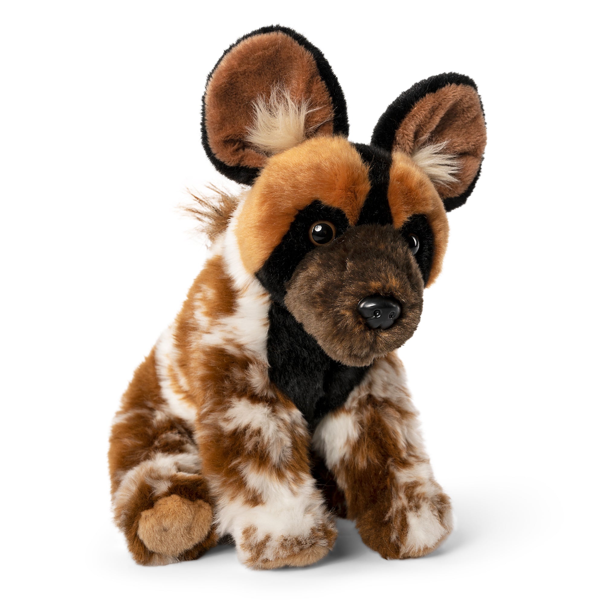 Living Nature African Wild hund