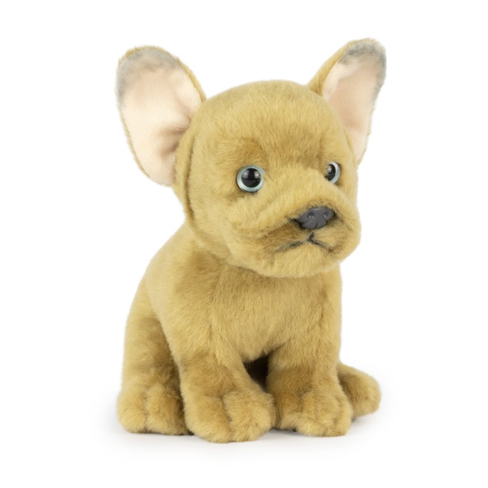 Living Nature French Bulldog Puppy Sand