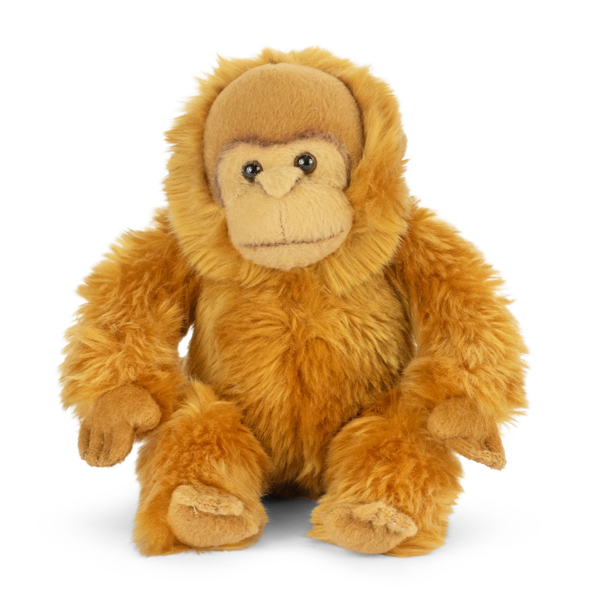 Living Nature unge Orangutan